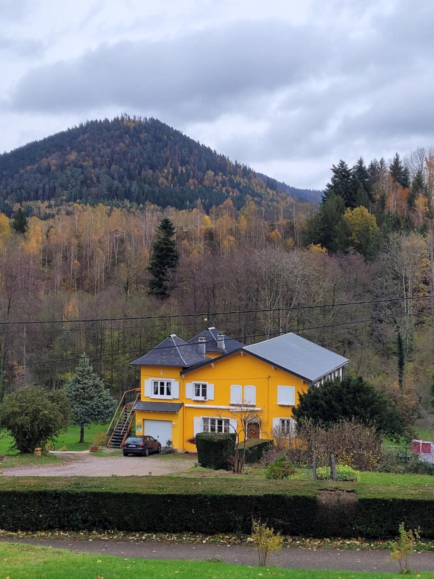 Gite Forestier Du Moulin Raon-sur-Plaine Exterior foto