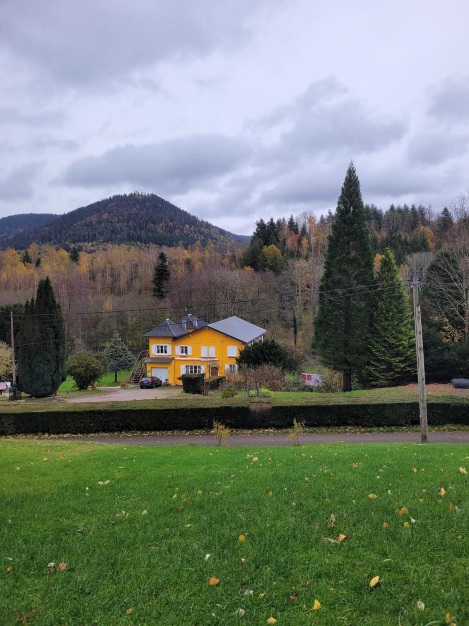 Gite Forestier Du Moulin Raon-sur-Plaine Exterior foto