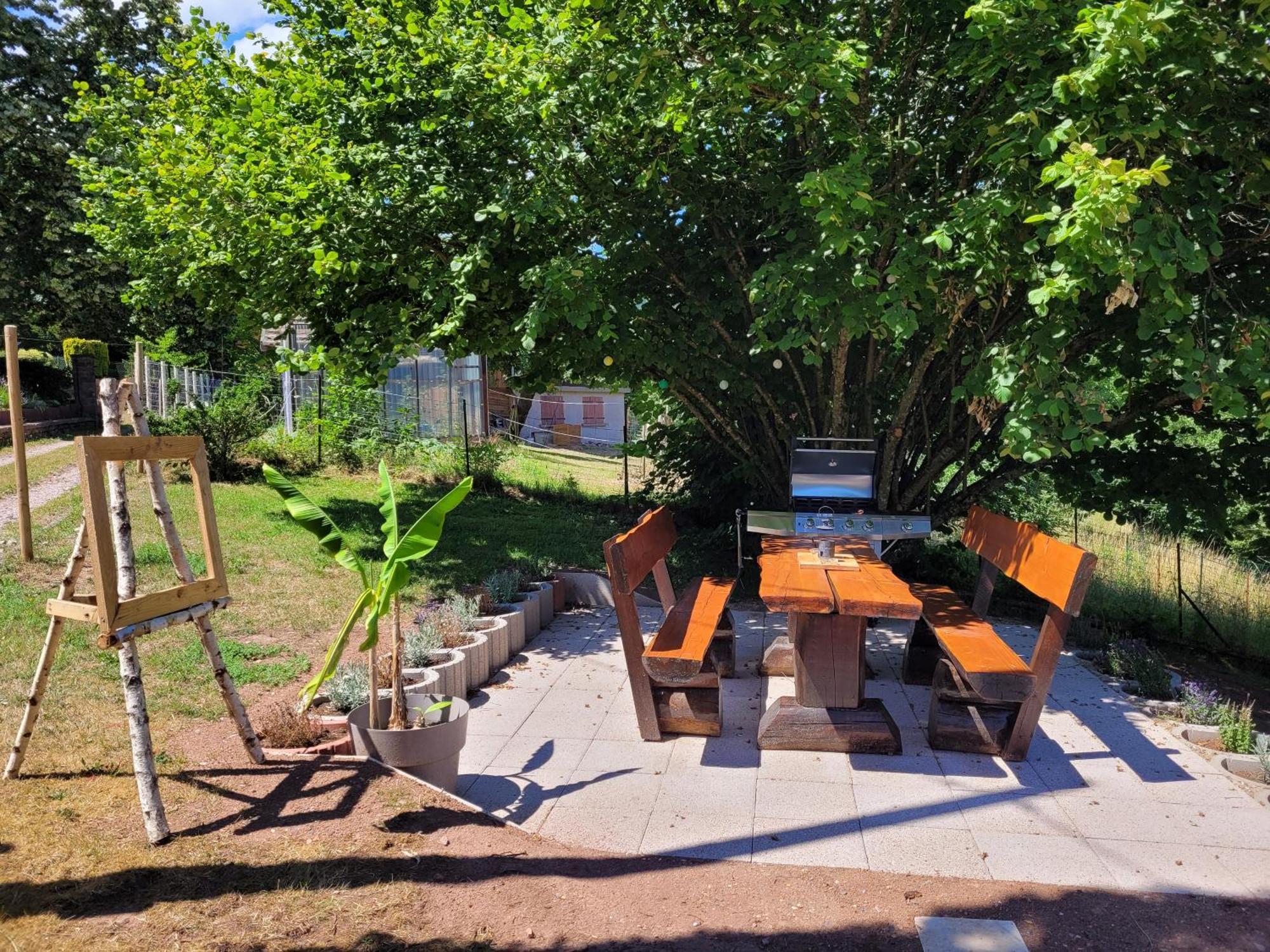 Gite Forestier Du Moulin Raon-sur-Plaine Exterior foto