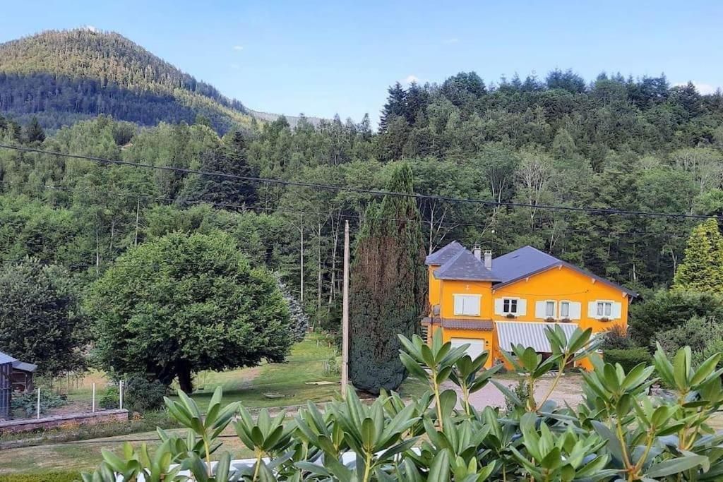 Gite Forestier Du Moulin Raon-sur-Plaine Exterior foto